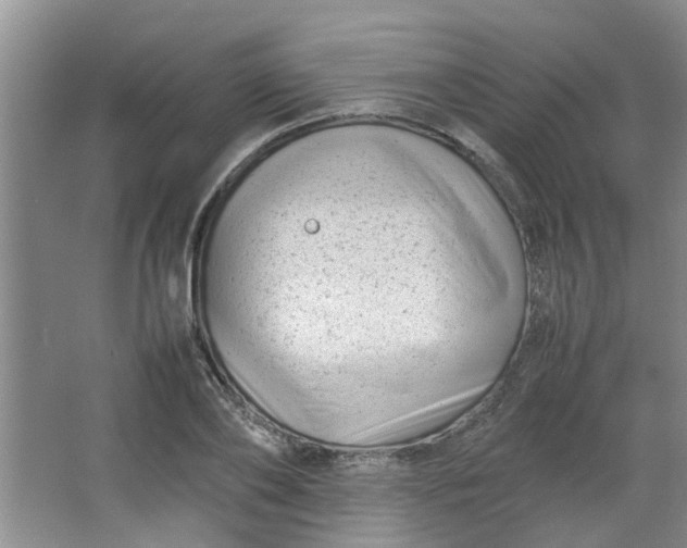 X0000066100886200603241515