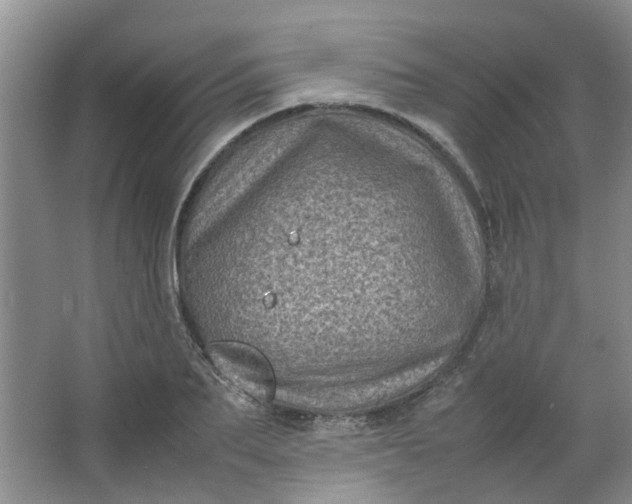 X0000066100887200603241515