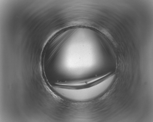 X0000066100888200603241515