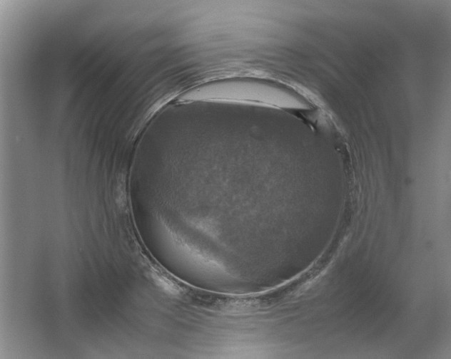 X0000066100889200603241515