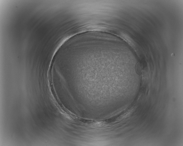 X0000066100891200603241515