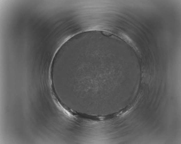 X0000066100892200603241515