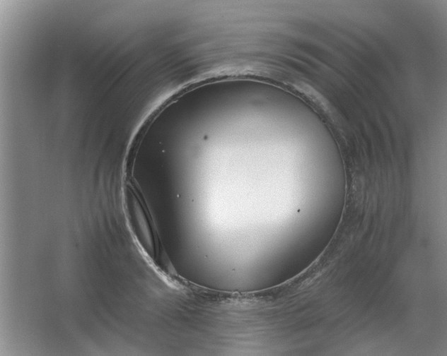 X0000066100894200603241515