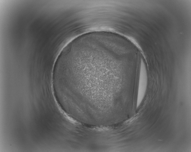 X0000066100895200603241515