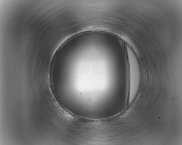 X0000066100896200603241515