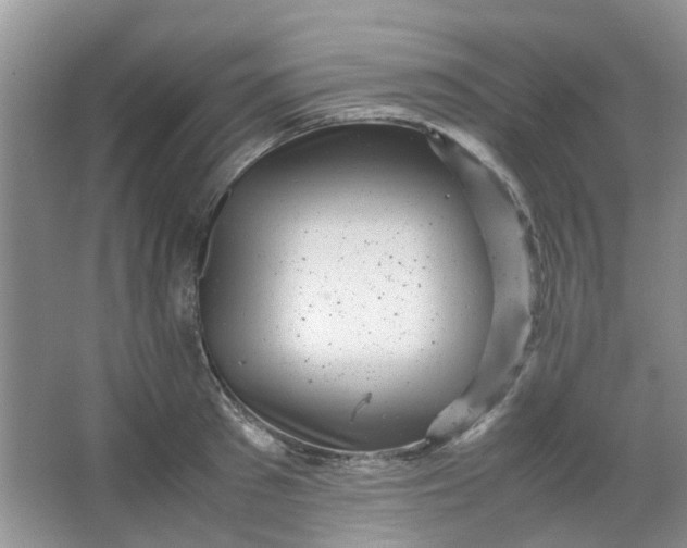 X0000066100897200603241515