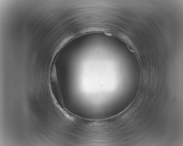 X0000066100898200603241515