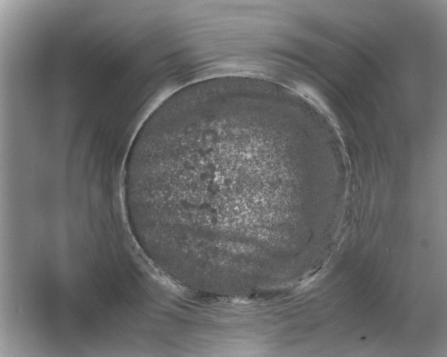 X0000066100899200603241515