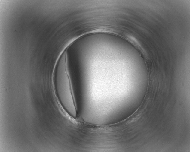 X0000066100900200603241515