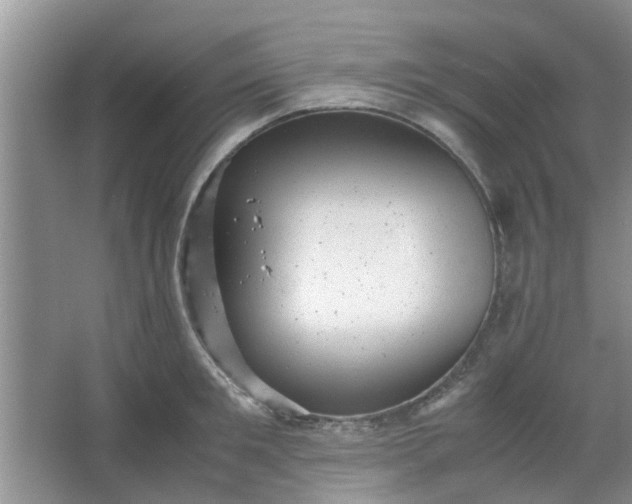 X0000066100901200603241515