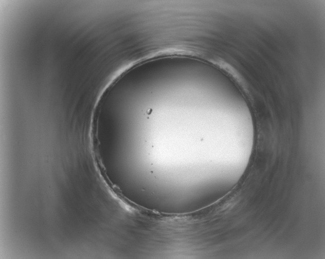 X0000066100902200603241515