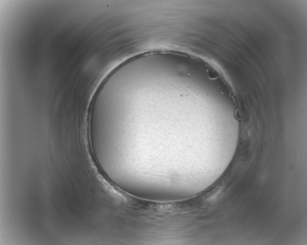 X0000066100903200603241515