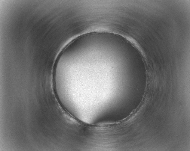 X0000066100904200603241515