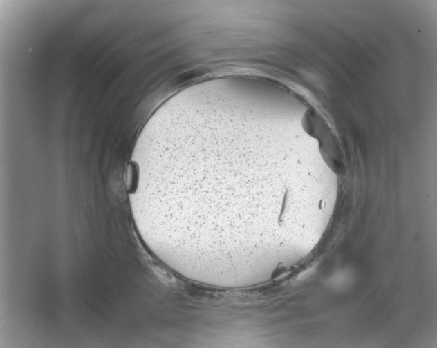 X0000066100905200603241515