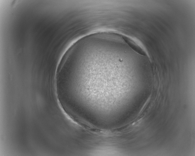 X0000066100911200603241515