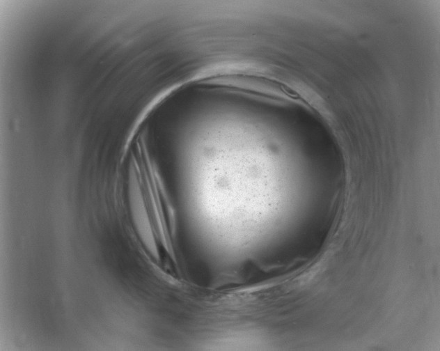 X0000066100912200603241515