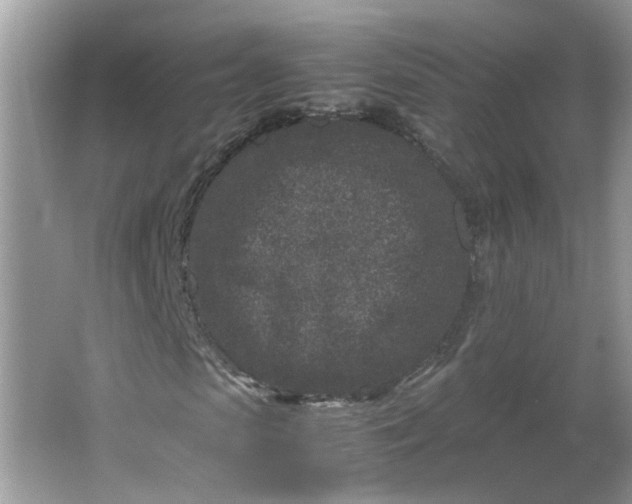 X0000066100913200603241514