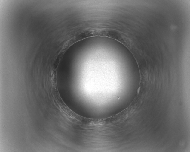 X0000066100914200603241514