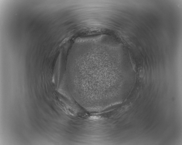 X0000066100916200603241514