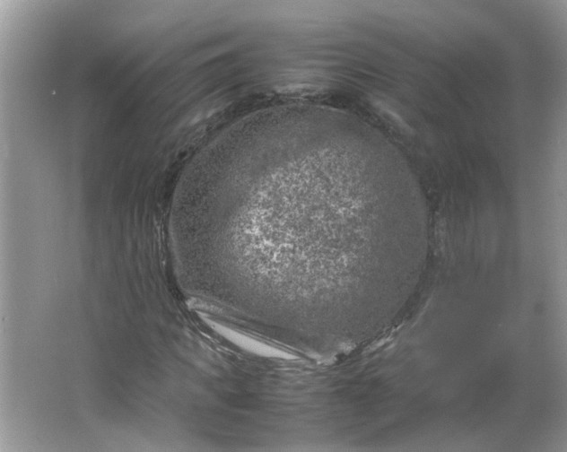 X0000066100917200603241514