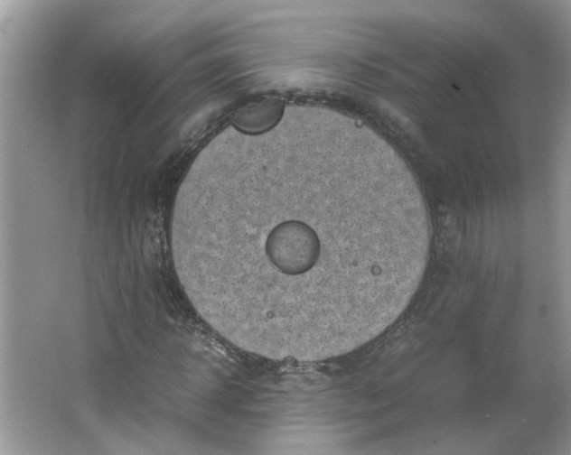 X0000066100918200603241514