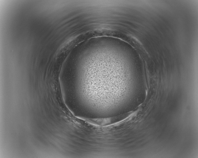 X0000066100919200603241514