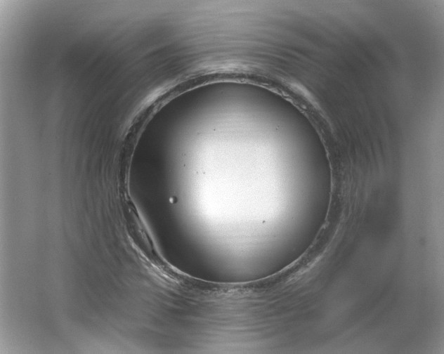 X0000066100922200603241514