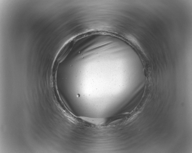 X0000066100924200603241514