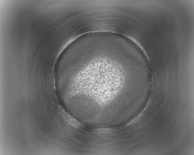 X0000066100925200603241514