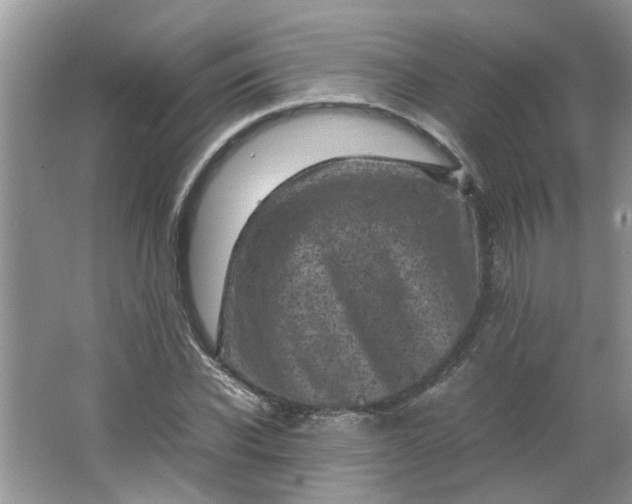 X0000066100926200603241514