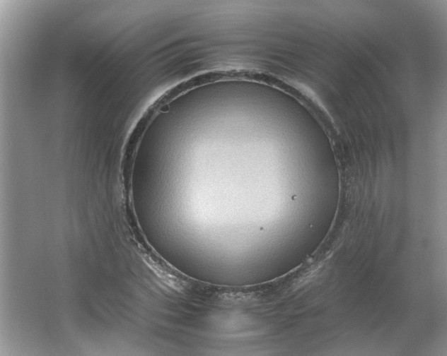 X0000066100927200603241514