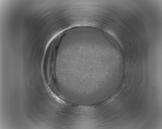 X0000066100928200603241514