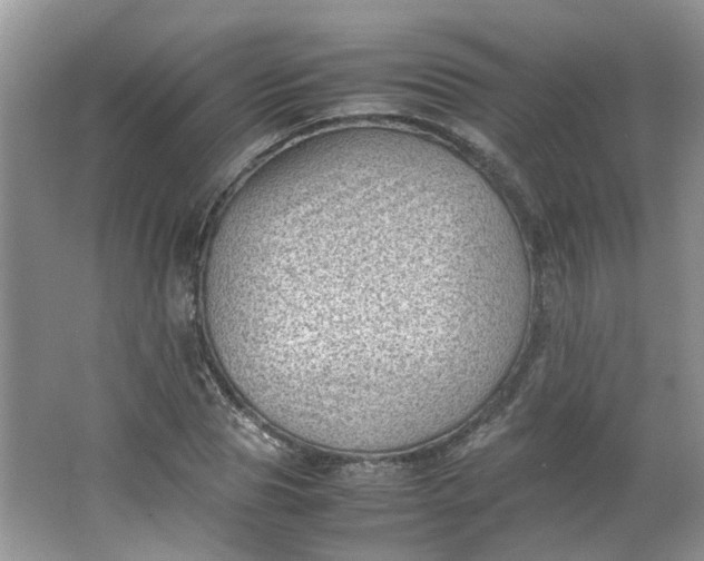 X0000066100929200603241514