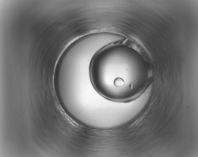 X0000066100932200603241514