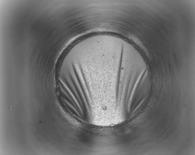 X0000066100934200603241514