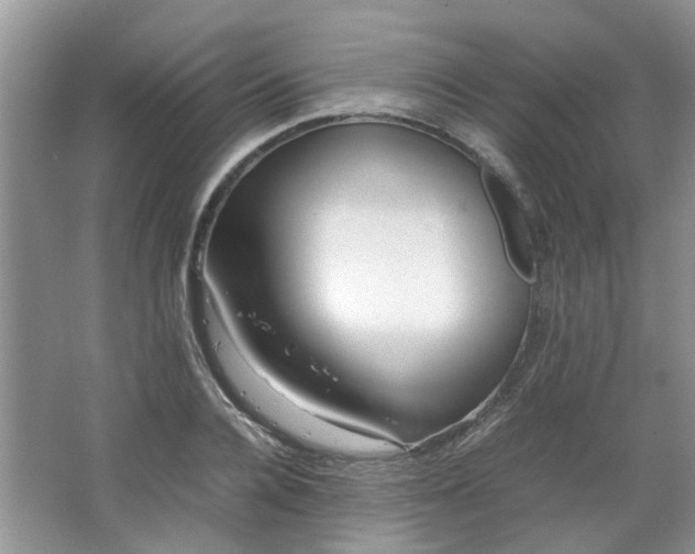 X0000066100936200603241514