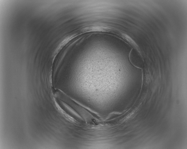 X0000066100938200603241514