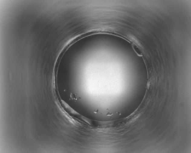 X0000066100940200603241514