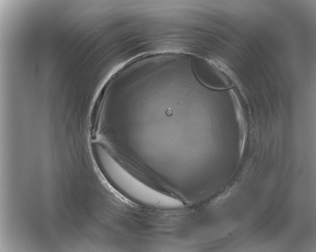 X0000066100941200603241514