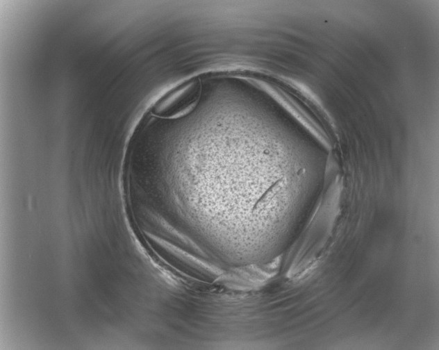 X0000066100943200603241514