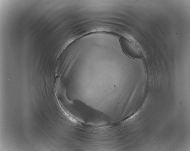 X0000066100945200603241514