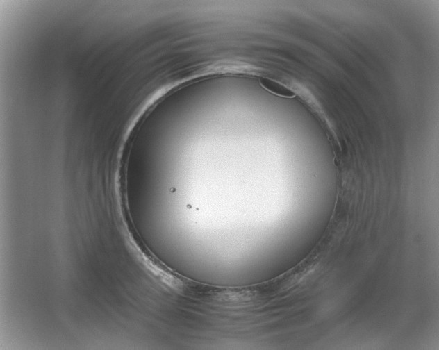 X0000066100947200603241514