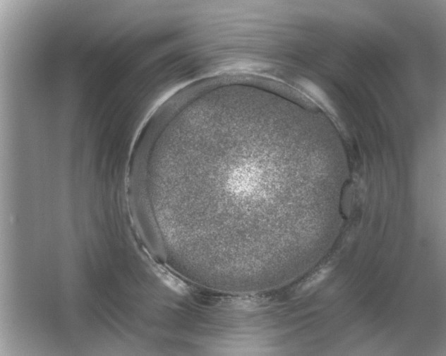 X0000066100948200603241515