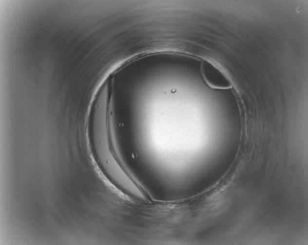 X0000066100949200603241515