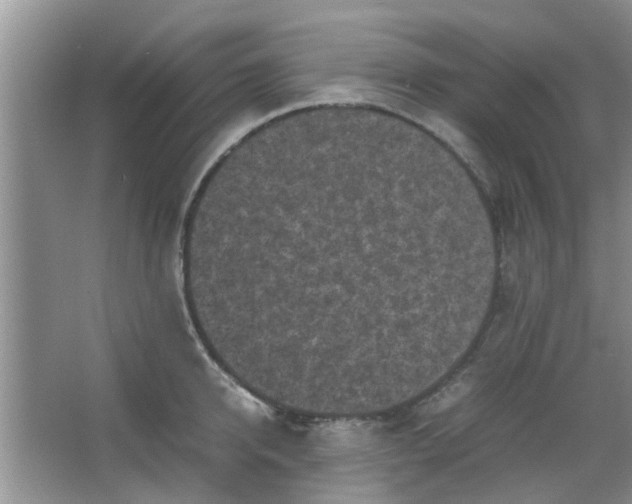 X0000066100950200603241515