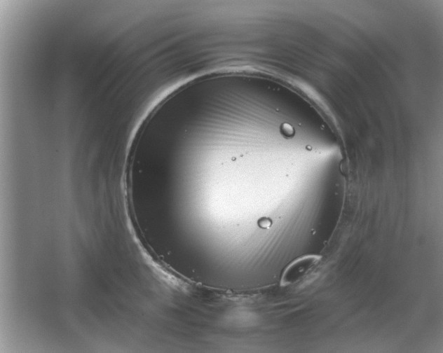 X0000066100951200603241515