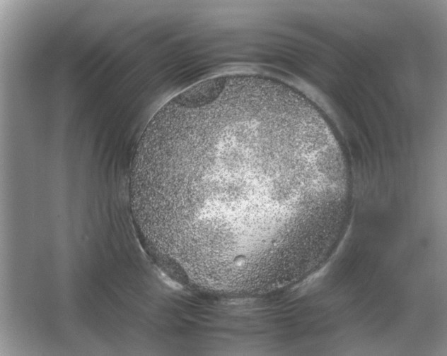 X0000066100953200603241515