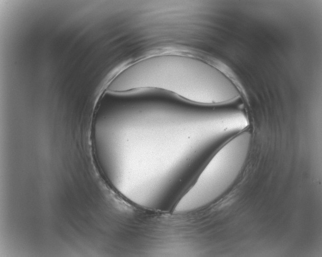 X0000066100954200603241515