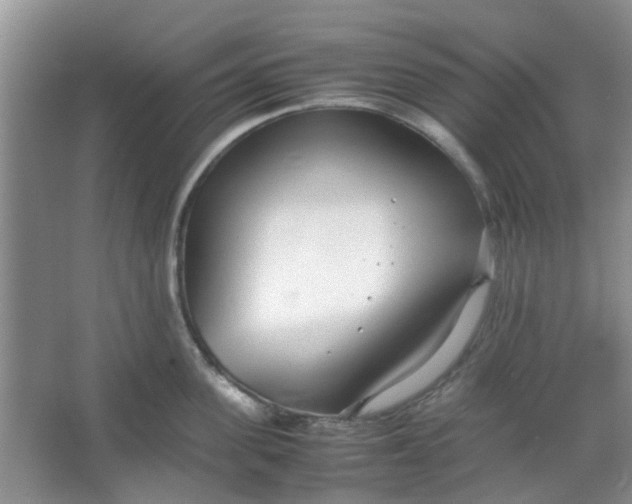 X0000066100955200603241515