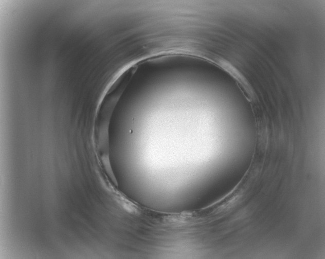 X0000066100956200603241515